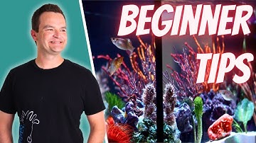 16 Tips For Successful Saltwater Aquariums