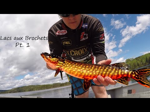 Vidéo: Lac Aux Brochets