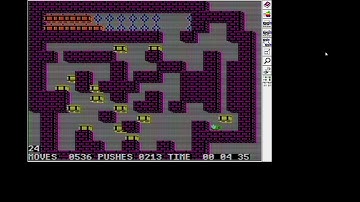 Soko-Ban Apple ][ Variant, Level 24