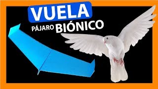 Como hacer un AVIÓN DE PAPEL BIÓNICO que vuele mucho y que vuela como un PÁJARO REAL