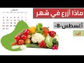 الزراعة شهر 8 اغسطس اب mp3
