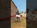 Allah Tala ke madad 😭 #ytshorts #news #prayer #today #trending #emotional #shorts