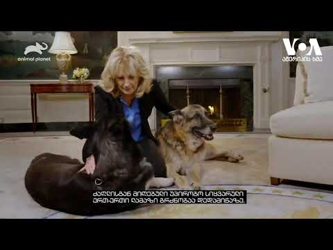 აშშ-ის პირველი ლედი, ჯილ ბაიდენი, ვიდეოს აქვეყნებს