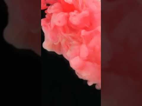 هشام عباس اجمل حالات واتس اب شيل ايدك