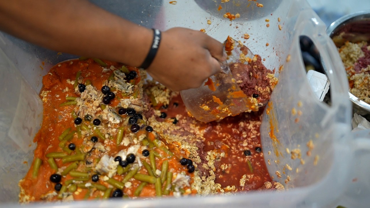 Домашний корм для собак из сырых продуктов