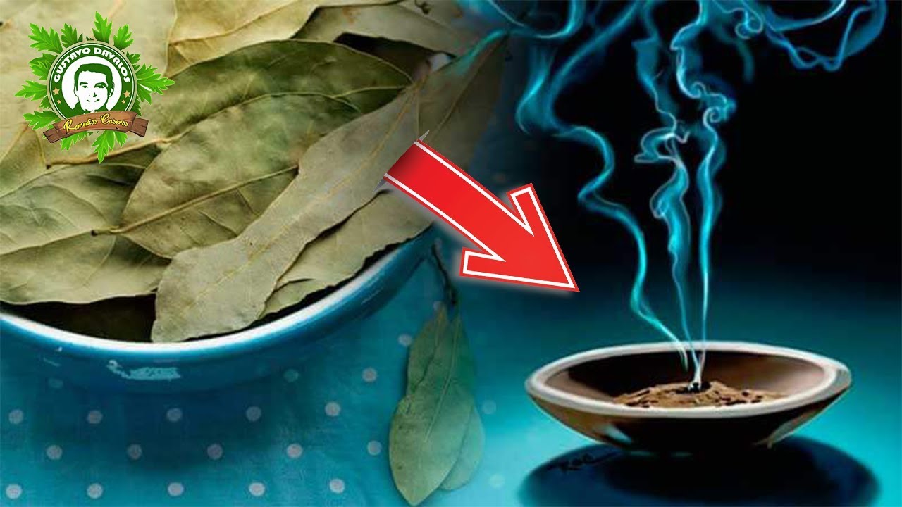 Sabias Que Quemar Una Hoja De Laurel En Tu Casa Va Ayudar A Tu Salud