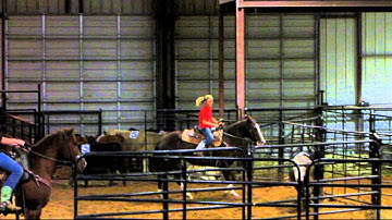 Snort N Avenger - Avery - 11/7/12 sorting practice - sorting - ranch hand - Valley View Ranch