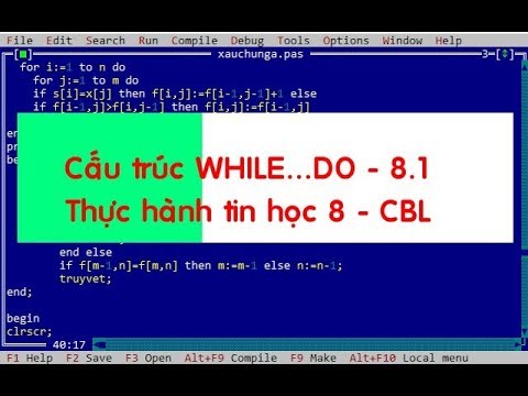Video Thực hành tin học 8 - Lớp 8.1 CBL - Cấu trúc WHILE... - youtube