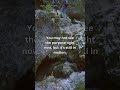 When You Feel Like Your Life Has No Purpose 🌿 | Christian Encouragement | Light For The Soul 🙏