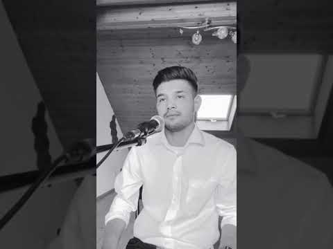 سفیدی بخملی Amir Ahmadi