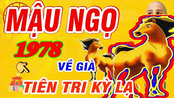 Tiên Tri Tiết Lộ Ý Trời- MẬU NGỌ 1978 Phước đức ngập lối, tiền bạc giàu nứt vách khi về già.