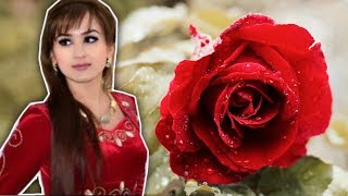 QALBIMDAGI QIZIL ATIRGUL