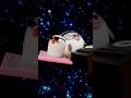 DJ FUGU「フクフクロウロウチチチキン」 Official MV