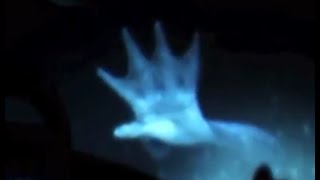 人魚の衝撃映像 Youtube 人魚の衝撃映像 Youtube