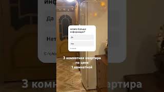 Квартира рядом в 30 минутах от Санкт-Петербурга #недвижимость #квартира #дом #ипотека #топ