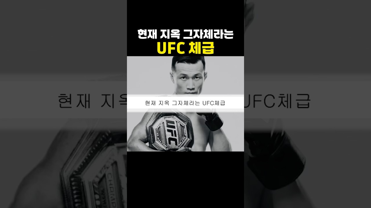 현재 지옥 그자체라는 UFC 체급