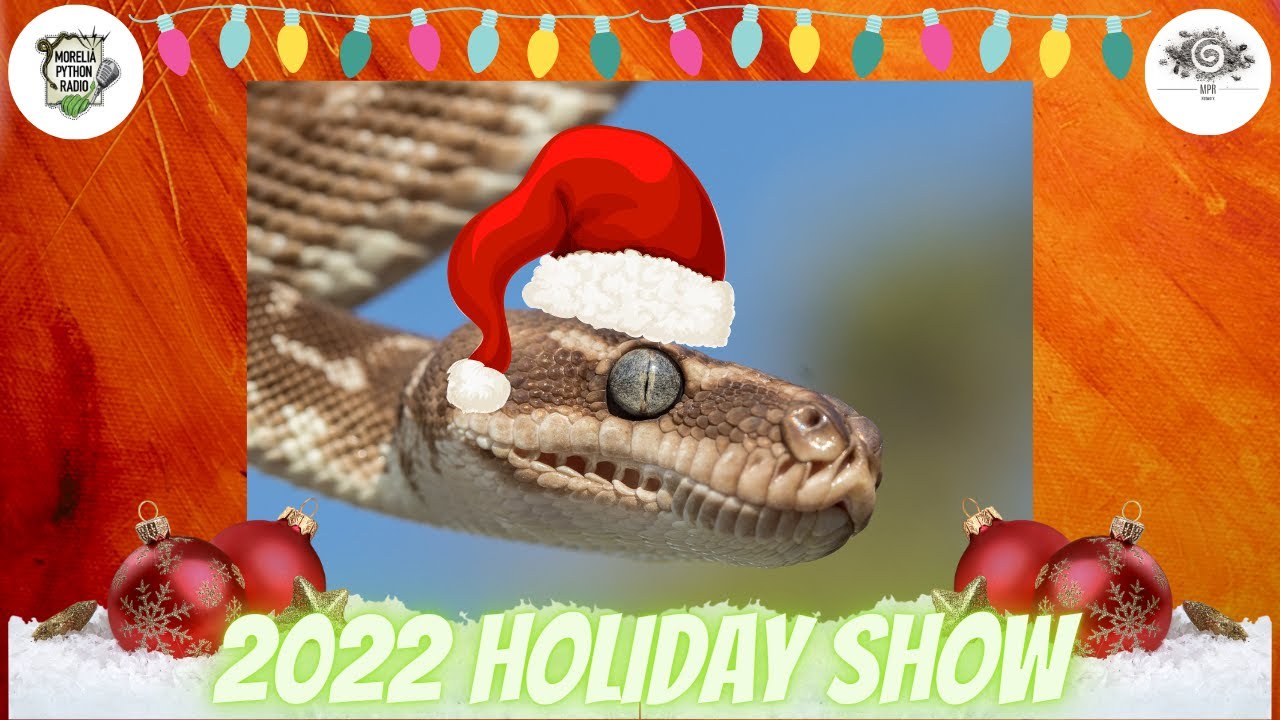 2022 Holiday Show