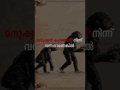 Human Evolution explained |പരിണാമത്തെക്കുറിച്ച് നിങ്ങൾ കേട്ടത് തെറ്റ് #umeshambady #evolution