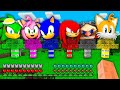 What&#39;s INSIDE the TNT TREE of SONIC KNUCKLES EGGMAN TAILS JET AMY ROSE in Minecraft ?