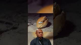 This Crab Steals Wife And Calls It Love