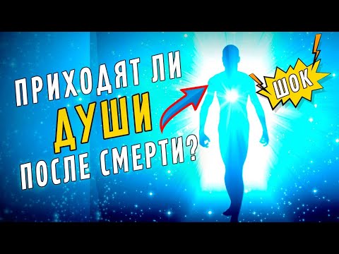 Приходят ли души умерших к своим могилам?