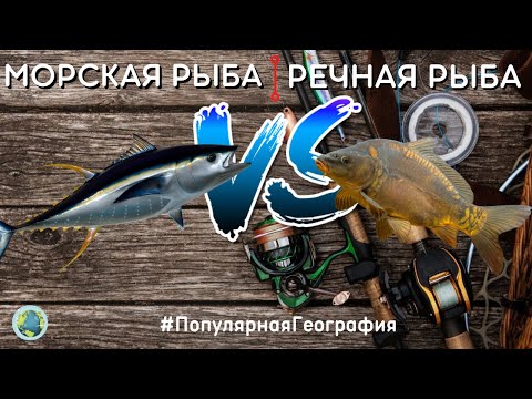 В РЕЧНОЙ РЫБЕ НА САМОМ ДЕЛЕ БОЛЬШЕ КОСТЕЙ, ЧЕМ В МОРСКОЙ? Миф или Правда? #ПопулярнаяГеография
