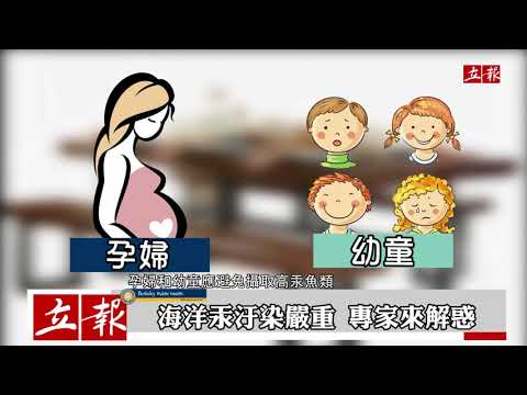 健康多吃魚 吃魚保健康 The Dish on Fish（2019）｜柏克萊健康傳播系列｜立報傳媒