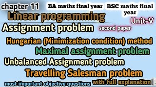 bsc 3rd year maths linear programming chapter 11 | assignment problem in lpp | travelling salesman