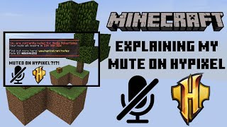 Why I was Muted on Hypixel... (Explanation)