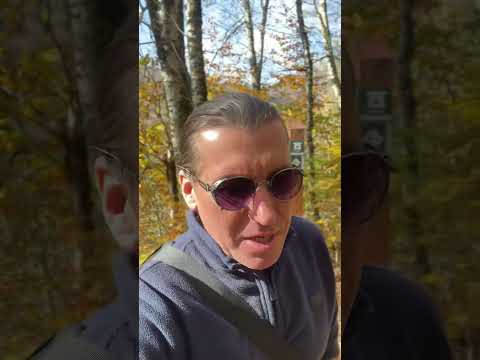 Дольмены.Эти каменные домики — ровесники тех же египетских пирамид! В Красной Поляне их шесть.