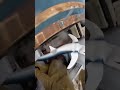 “POV Shark Comes Flying Out of Nowhere — Pure Chaos!”#POVMadness #SharkJump #RawFootage
