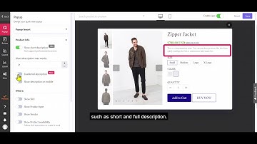 Quick View Features - Popup page