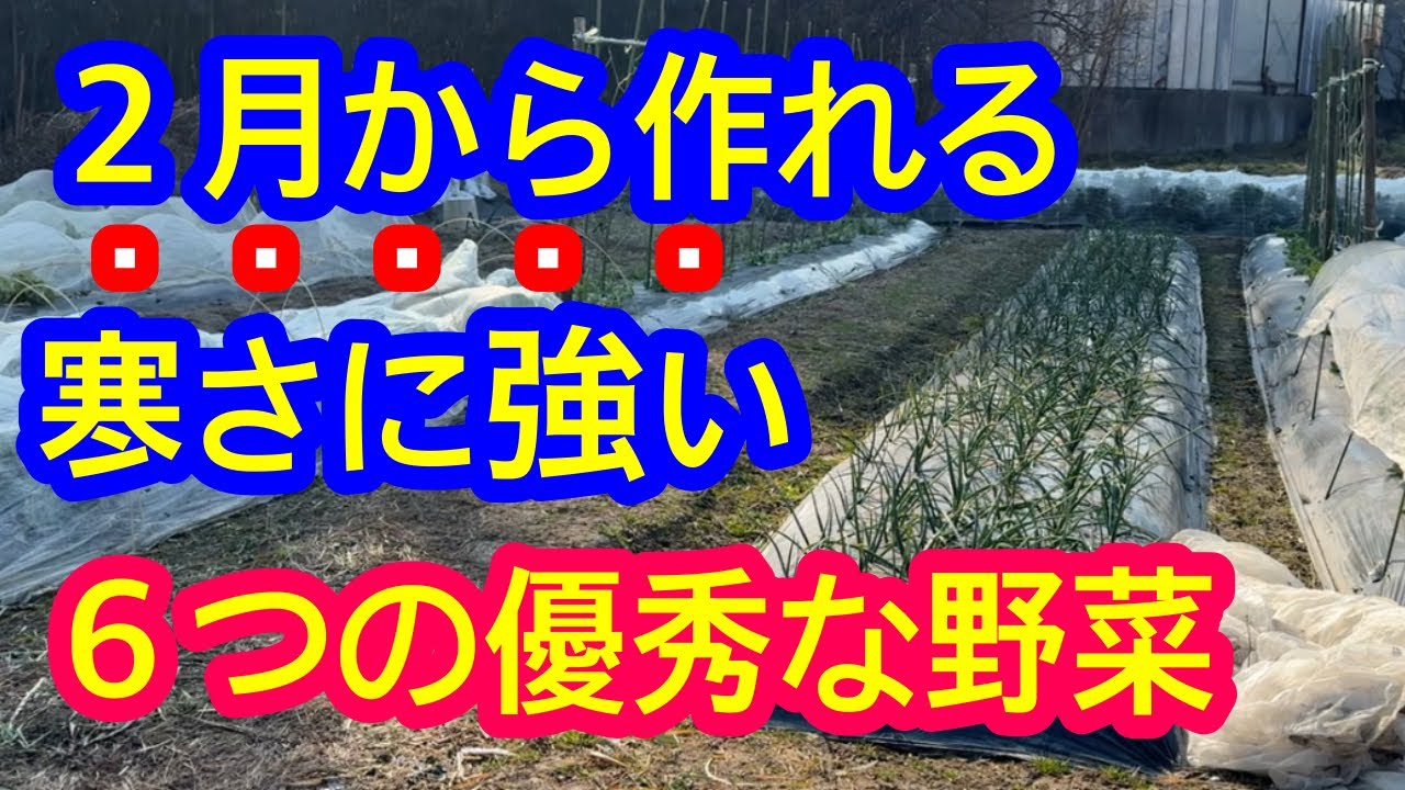 Latest Edition] Professionals teach you 