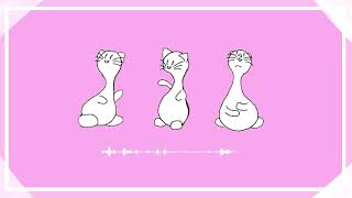 【フリーBGM】Cat Dance / おしゃれ・ポップ・かわいい・作業用・フリーBGM・Vlog screenshot 5