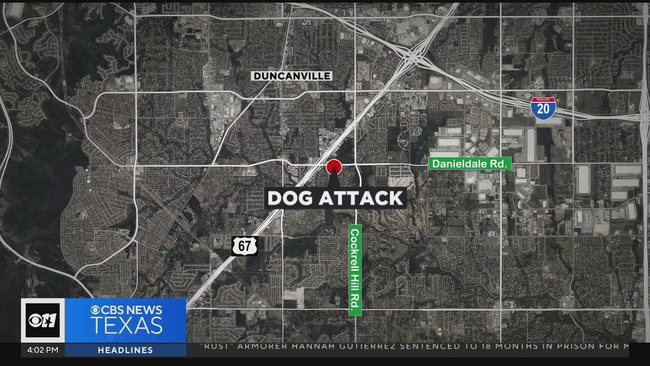 Police investigating dog attack that left small child dead - YouTube