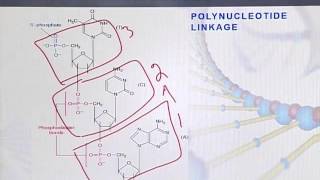 BIO301_Topic044