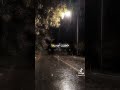 تحت المطر قلبي بكي الشامي