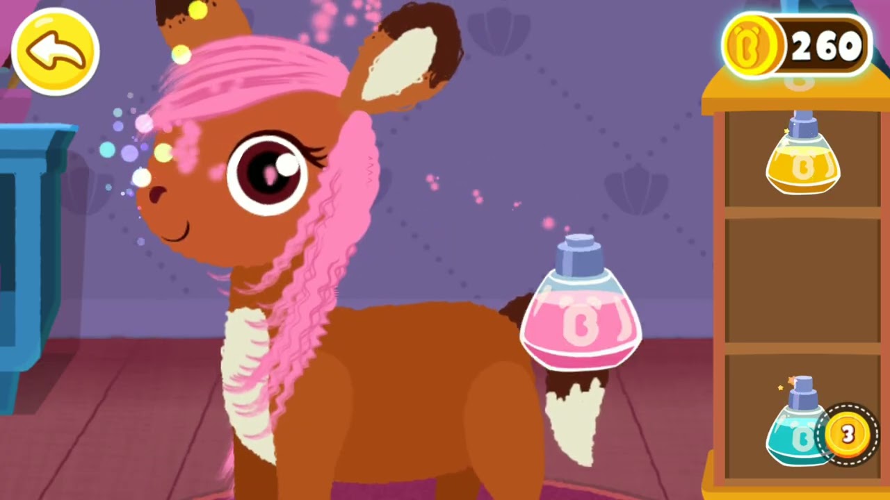 Салон красоты для животных