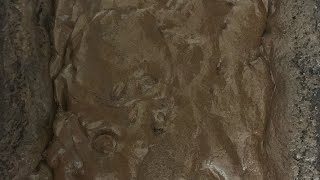 Favorite brownies (full recipe in comments)