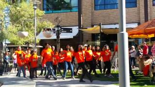 Copy of Produce DFK 2015 USA Woodland Hills CA