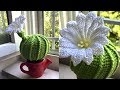 МК: КАКТУС С ЦВЕТКОМ КРЮЧКОМ. ДЕКОР КРЮЧКОМ. CROCHET CACTUS