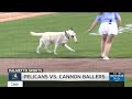 Myrtle Beach Pelicans grab win in their home opener
