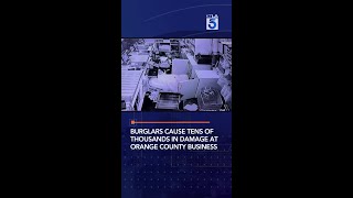 Burglars cause tens of thousands in damage at Orange County Business