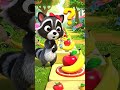 Ruby Raccoon’s Color Pattern Path | Color Patterns &amp; Sorting for Kids