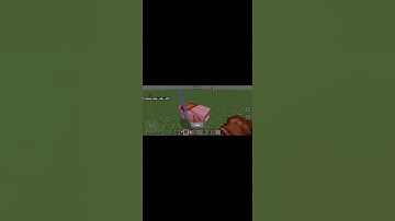 how to ride a pig in Minecraft