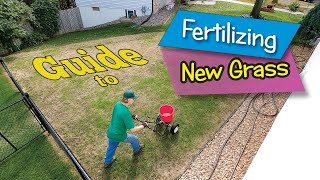 Guide to Fertilizing New Grass Seedlings