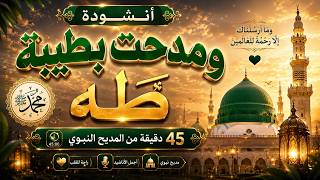 أنشودة تهزّ القلوب | في حب رسول الله ﷺ 2026 | 45 دقيقة من الروحانيات 🎧 screenshot 5