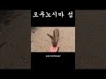 사람을 가두고 토끼를 풀어둔 섬 - 내차로 #일본여행