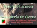 Toro de Ozcoz para celebrar el día del Carmen en Villaverde de Medina