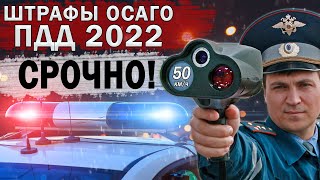 Пдд 2022: Скидки Отменили! | Ограничение 50Км.ч | Осаго | Отмена Скидок | Новые Штрафы | Симы